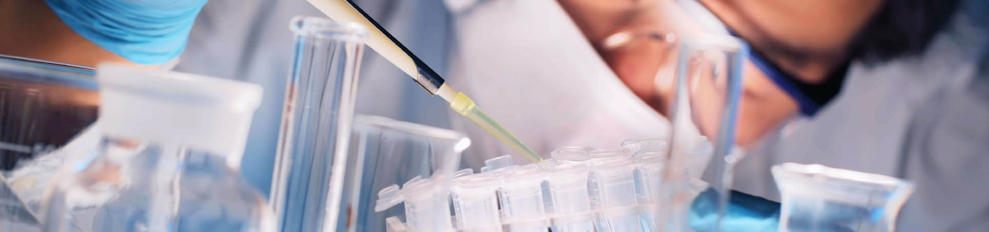 Aneurysmal Pathology Foundation